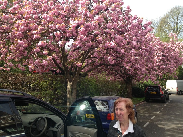 UNADJUSTEDNONRAW Thumb 7473